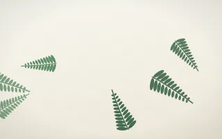 Fern on Paper — light green and white botanical background