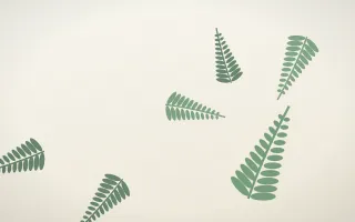Fern on Paper II — light green and white botanical background, variation II