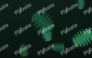 Jungle Wall — dark green and black botanical background