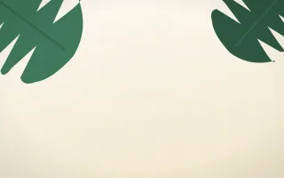Monstera Frame — light green and white botanical background