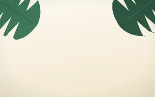 Monstera Frame II — light green and white botanical background, variation II