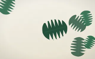 Monstera Grove — light green and white botanical background