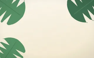Monstera Morning — light green and white botanical background