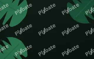Monstera Noir — dark green and black botanical background