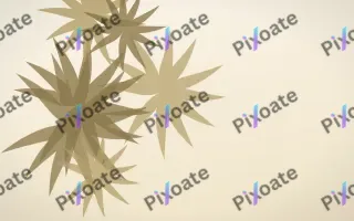 Sunbleached Palm — light yellow, brown and beige botanical background