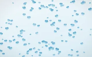 Arctic Frost Butterflies Dense II — light blue and white butterfly background, variation II