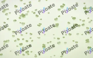 Matcha Latte Butterflies Dense — light green and white butterfly background