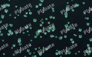 Midnight Garden Butterflies Dense II — dark green and black butterfly background, variation II