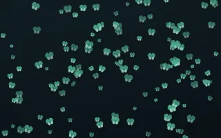 Midnight Garden Butterflies Dense III — dark green and black butterfly background, variation III