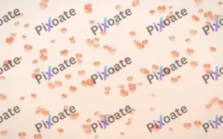 Peach Fuzz Butterflies Dense — light orange and white butterfly background