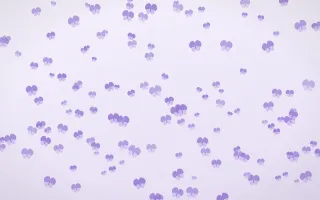 Wisteria Butterflies Dense II — light purple and white butterfly background, variation II