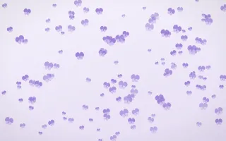 Wisteria Butterflies Dense III — light purple and white butterfly background, variation III