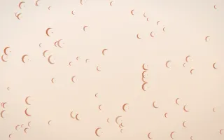 Terracotta Moons — light orange and beige celestial background