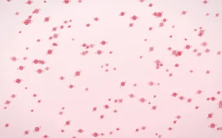 Cherry Soda Planets Dense — light red and white celestial background