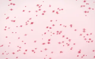 Cherry Soda Planets Dense III — light red and white celestial background, variation III