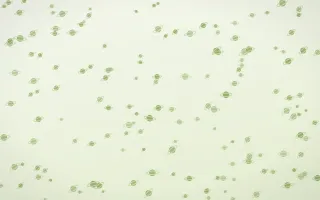 Matcha Latte Planets Dense — light green and white celestial background