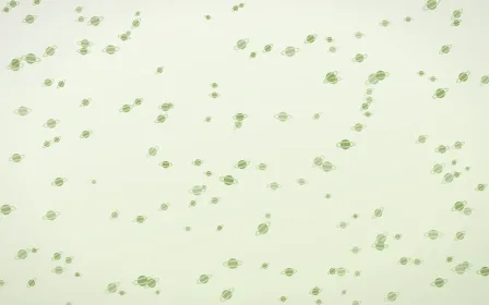 Matcha Latte Planets Dense — light green and white celestial background