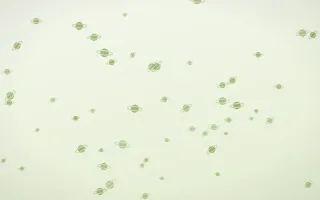 Matcha Latte Planets III — light green and white celestial background, variation III