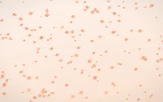 Peach Fuzz Planets Dense — light orange and white celestial background