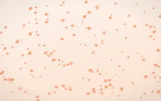 Peach Fuzz Planets Dense III — light orange and white celestial background, variation III