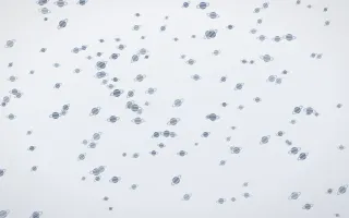 Slate Mist Planets Dense II — light blue and white celestial background, variation II
