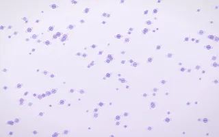Wisteria Planets Dense — light purple and white celestial background