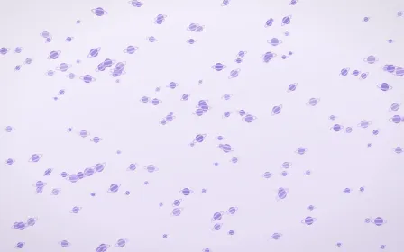 Wisteria Planets Dense — light purple and white celestial background