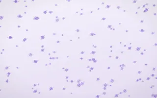 Wisteria Planets Dense II — light purple and white celestial background, variation II