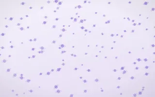 Wisteria Planets Dense III — light purple and white celestial background, variation III