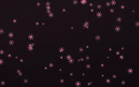 Flamingo Noir Suns — dark pink and black celestial background