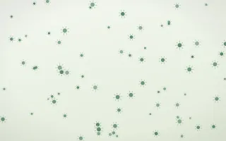 Forest Cream Suns — light green and white celestial background