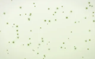 Matcha Latte Suns — light green and white celestial background