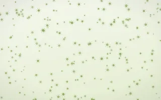 Matcha Latte Suns Dense II — light green and white celestial background, variation II