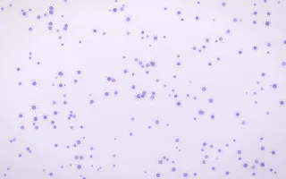 Wisteria Suns Dense II — light purple and white celestial background, variation II