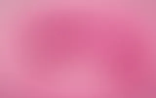 Flamingo Heat — colourful pink color field background