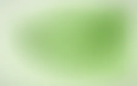 Honeydew Field — light green and white color field background