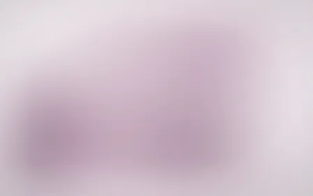 Mauvette Field — light pink and white color field background