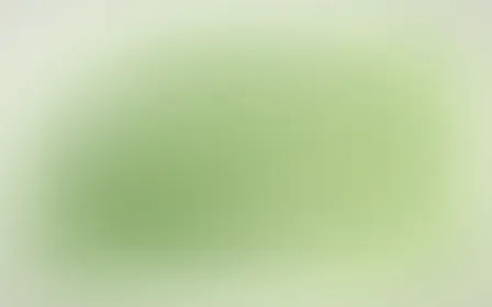 Meadowlark Air — light green and white color field background