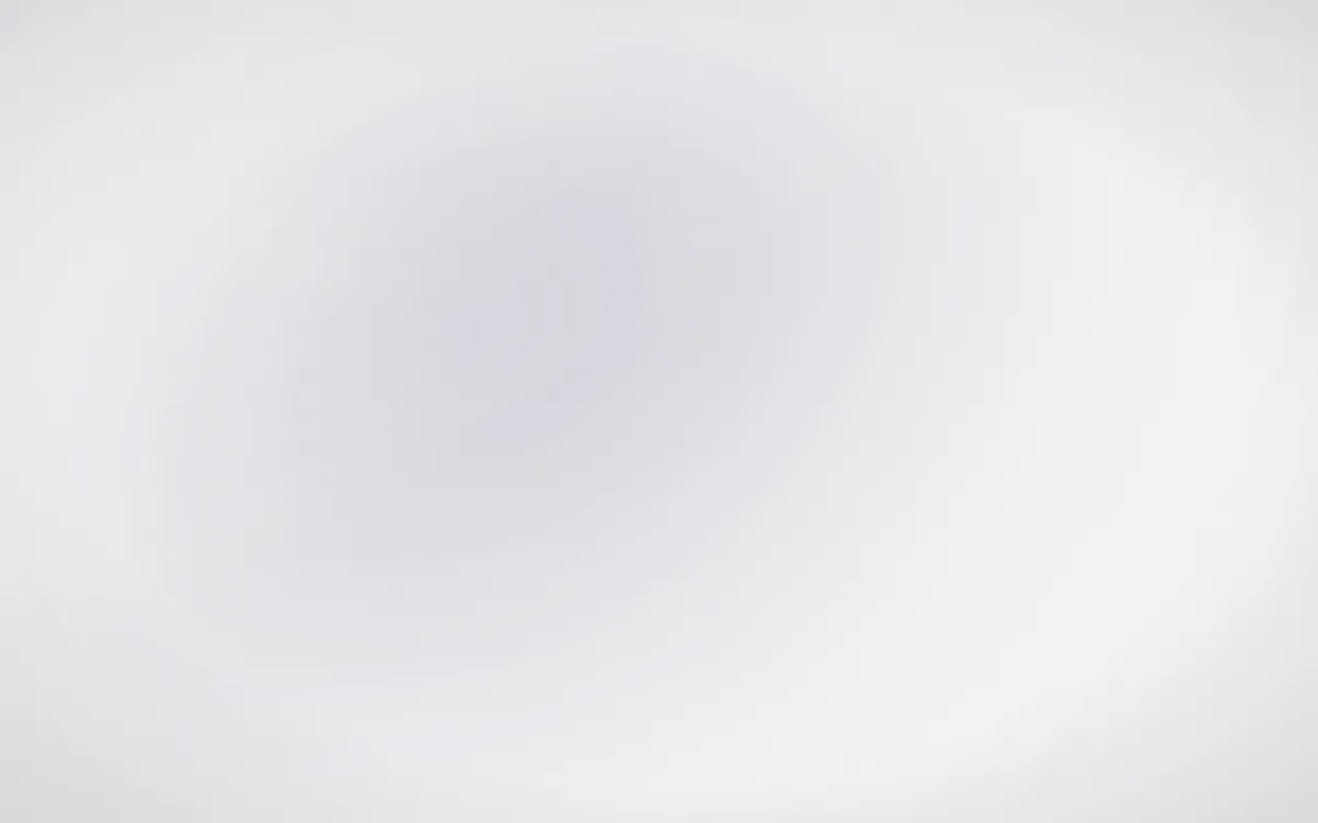 Porcelain Ink Whisper — light grey and white color field background