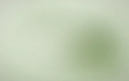 Sage Smoke — light green color field background