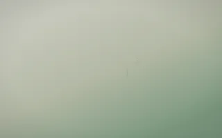 First Light Concrete — light beige and green concrete background