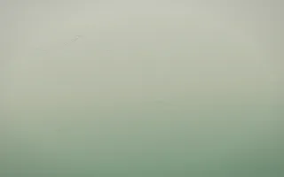 First Light Concrete IX — light beige and green concrete background, variation IX