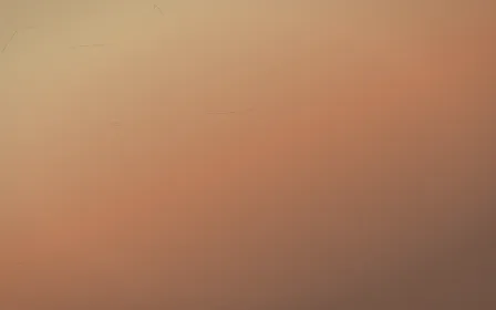 Golden Hour Concrete — colourful orange and pink concrete background