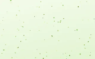 Honeydew Fête — light green and white confetti background