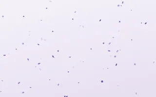 Thistledown Toss II — light purple and white confetti background, variation II