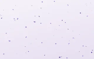 Thistledown Toss III — light purple and white confetti background, variation III
