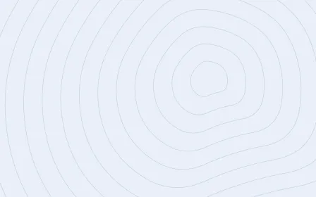 Denim Bold Quiet Lines — light white and blue contour line background