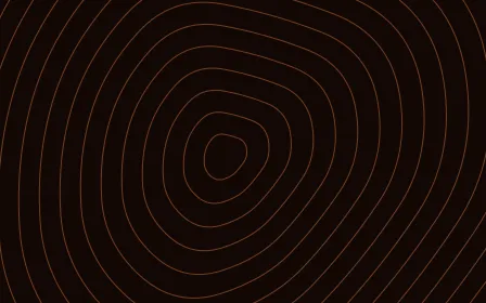 Emberline Relief — dark black and orange contour line background