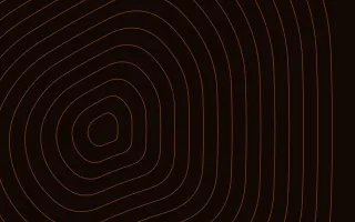 Emberline Relief II — dark black and orange contour line background, variation II