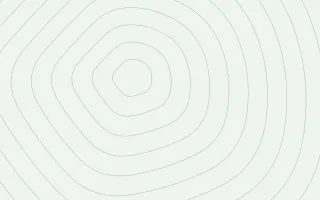 Junipera Terrain — light white and green contour line background